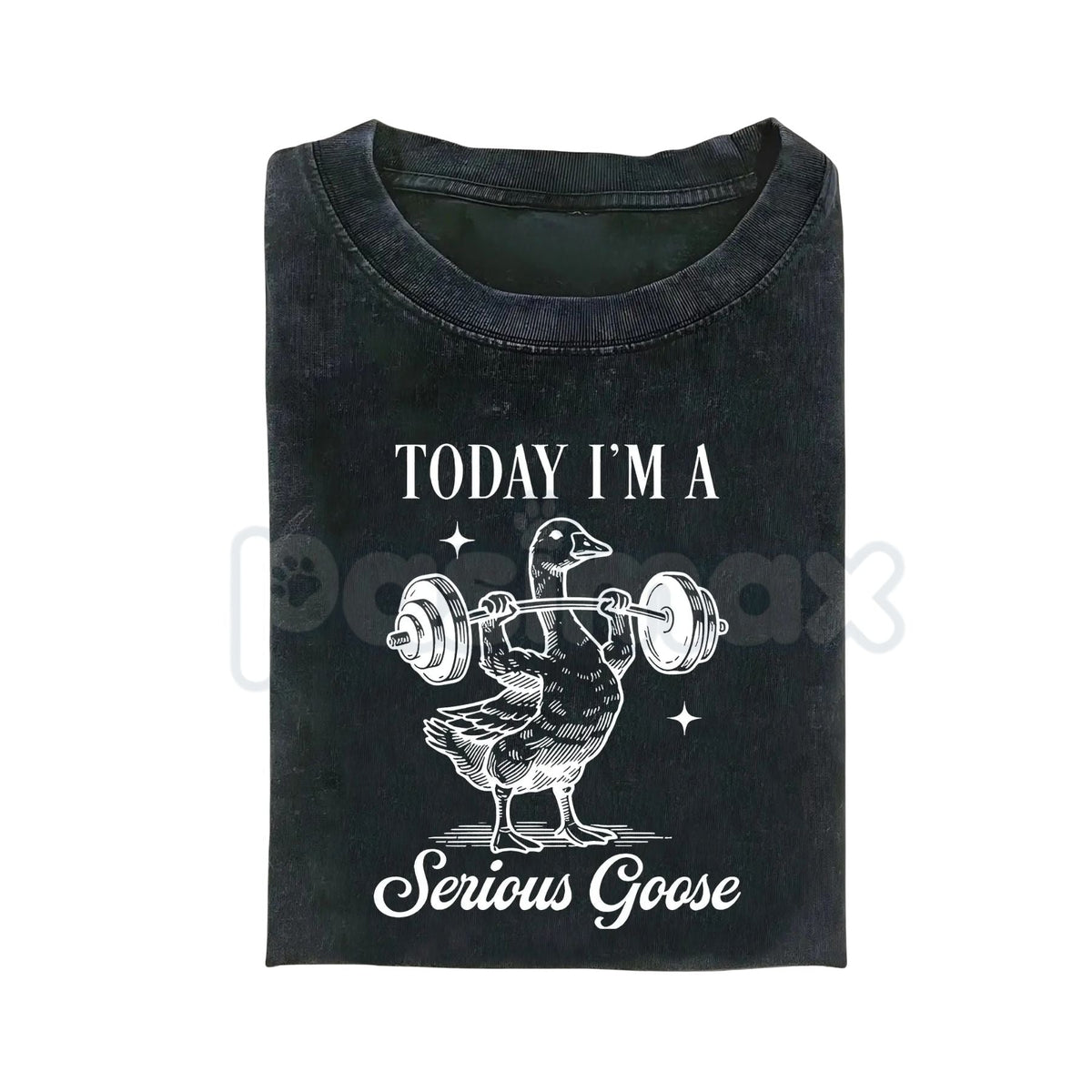 Today I'm a Serious Goose Funny T-Shirt – Men’s Vintage Washed Graphic Tee, Lightweight Sarcastic Animal Streetwear Top